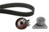 RENAU 7438610040 Timing Belt Kit